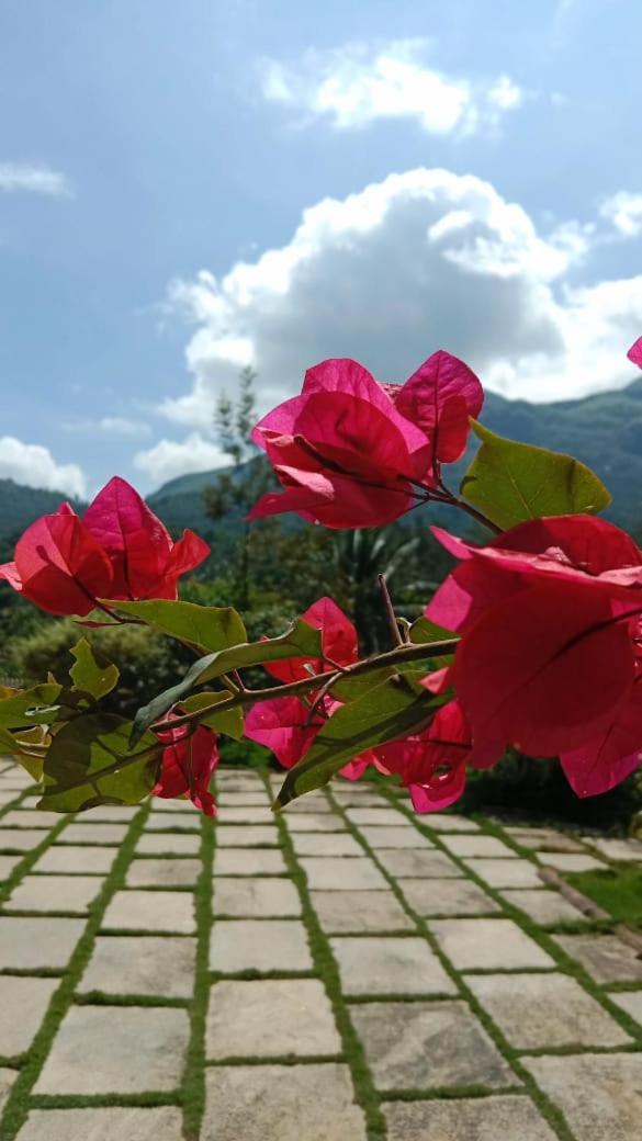 Padikkal Bungalow Vithiri Kültér fotó